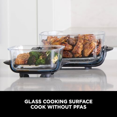 Ninja CRISPi Portable Air Fryer, 3.8L, 4-in-1: Air Fry, Roast, Keep Warm, Recrisp, Space Saving Compact Design