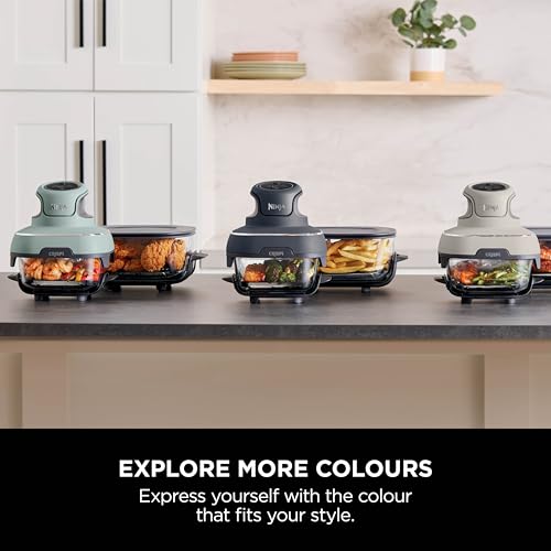 Ninja CRISPi Portable Air Fryer, 3.8L, 4-in-1: Air Fry, Roast, Keep Warm, Recrisp, Space Saving Compact Design